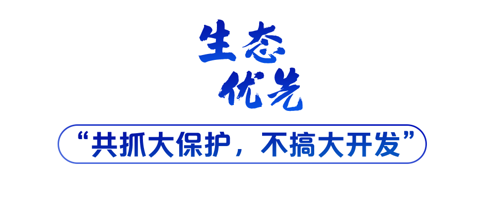 學習關(guān)鍵詞丨聽，長江經(jīng)濟帶高質(zhì)量發(fā)展“協(xié)奏曲”