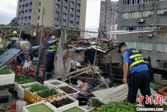 在一處居民樓屋頂，城管隊(duì)員拆除“空中菜園”?！〗疖?攝