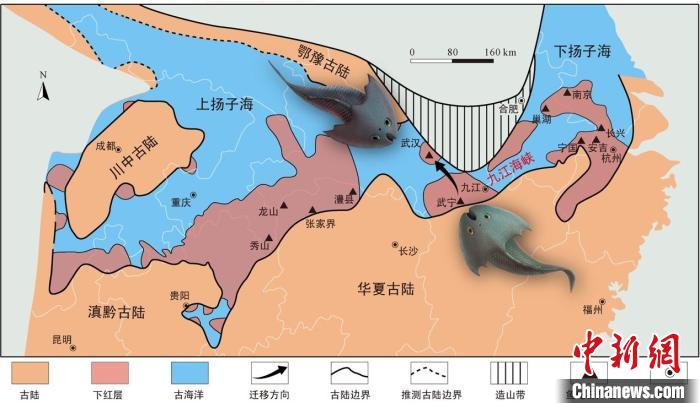 華南地區(qū)志留紀(jì)早期古地理圖和盔甲魚類化石產(chǎn)地(山顯任改自陳旭、戎嘉余，1996；戎嘉余等，2012) 中科院古脊椎所 供圖