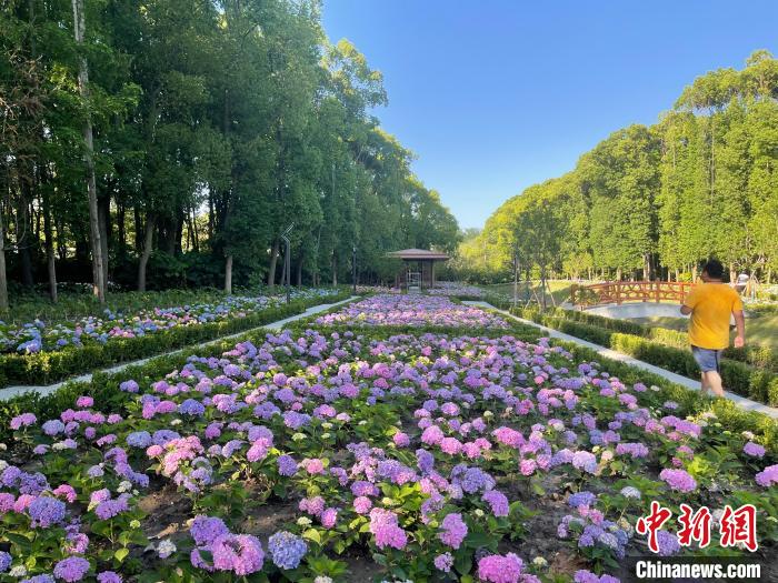 納民意、匯民智上海努力讓“公園城市”建設(shè)真正“合民心”