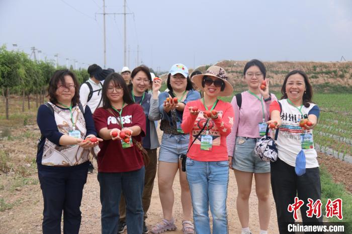 圖為臺胞體驗大美內(nèi)蒙古?！⊥袐I供圖