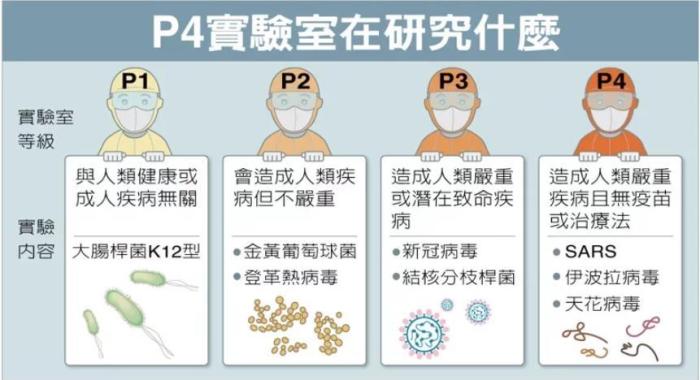 P4實(shí)驗(yàn)室在研究什么。臺(tái)灣聯(lián)合新聞網(wǎng)資料圖