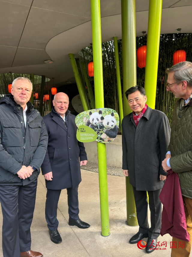 中國駐德國大使吳懇（右二）、柏林市長韋格納（左二）、動物園園長克尼里姆（右一）和監(jiān)事會主席布魯克曼（左一）共同為“夢想”“夢圓”大熊貓紀念牌揭幕。人民網(wǎng)記者 徐馨攝