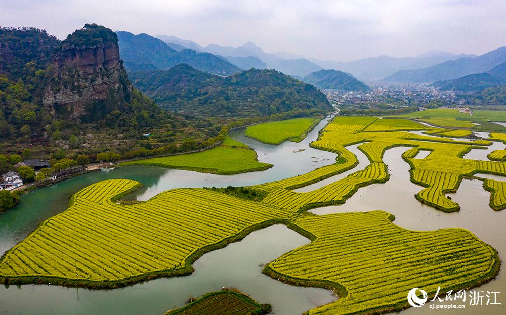 3月28日，航拍浙江省臨海市桃渚鎮(zhèn)桃江十三渚盛開的油菜花景色。人民網(wǎng) 章勇濤攝