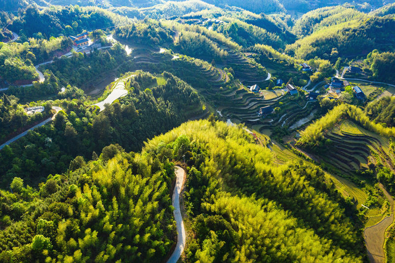 會(huì)同縣高椅鄉(xiāng)雪峰村的產(chǎn)業(yè)路盤旋在綠色的大山之間。田文國攝