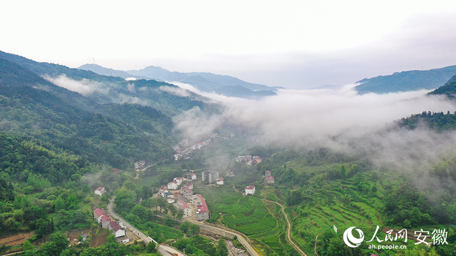 雨后的金寨大灣村，云霧環(huán)繞，宛如一幅田園山水畫(huà)卷。人民網(wǎng) 張俊攝