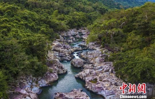 2018年海南生態(tài)環(huán)境狀況等級(jí)為“優(yōu)”，植被覆蓋率高，生物多樣性豐富，生態(tài)系統(tǒng)穩(wěn)定，圖為海南中部熱帶雨林?！●樤骑w　攝