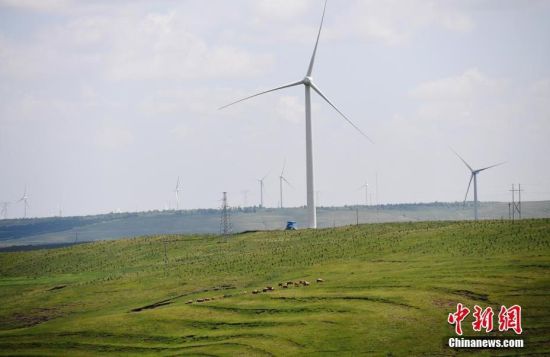 6月28日，河北張家口張北草原上大片風力發(fā)電的“風車”規(guī)模宏大。 中新社記者 楊艷敏 攝