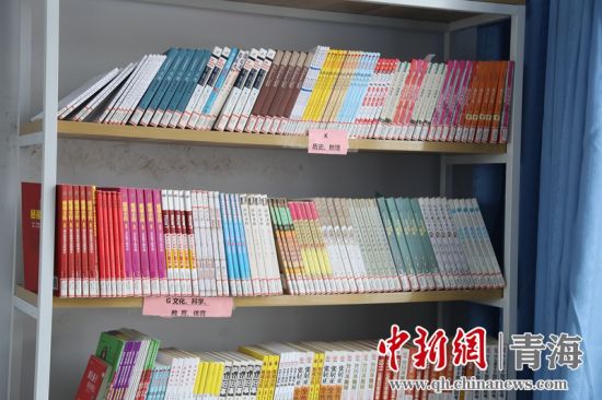 圖為“安康圖書館”項目為日月鄉(xiāng)哈城中心小學(xué)配置的圖書。張海雯攝