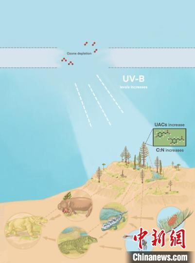 臭氧層破壞引起的紫外線輻射增加對陸地食物鏈的影響?！∧瞎潘?供圖