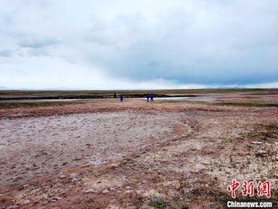 圖為救援力量在青海省西部搜救失聯(lián)的江蘇南京某大學(xué)女生黃某某。海西州藍(lán)天應(yīng)急救援中心 供圖