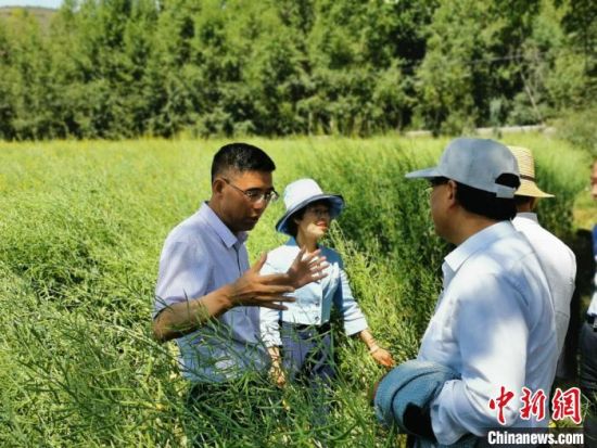 圖為九三學社青海省委主委杜德志(左一)在基層調(diào)研。受訪者供圖