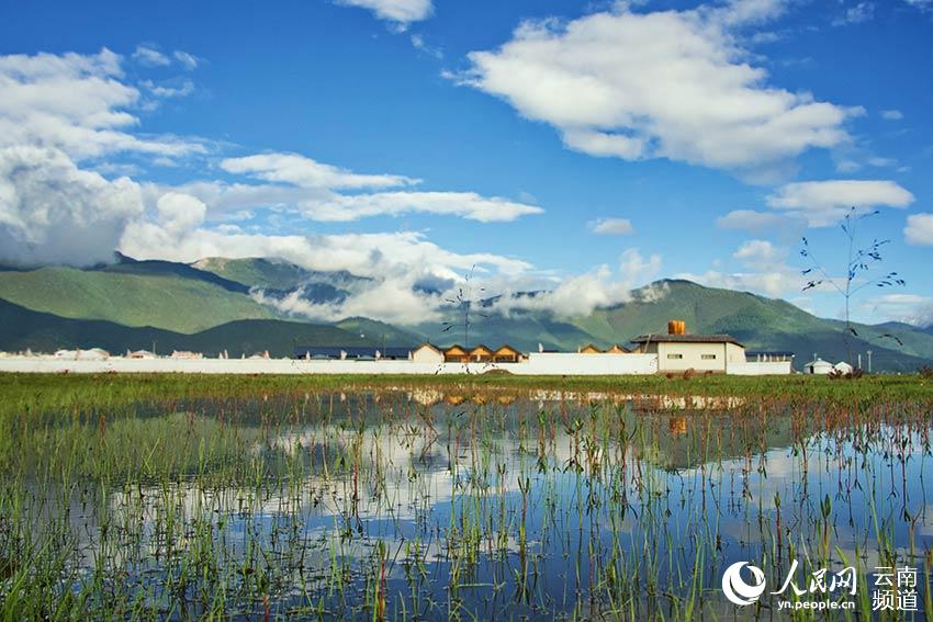 納帕海濕地風景。呂昊辰攝