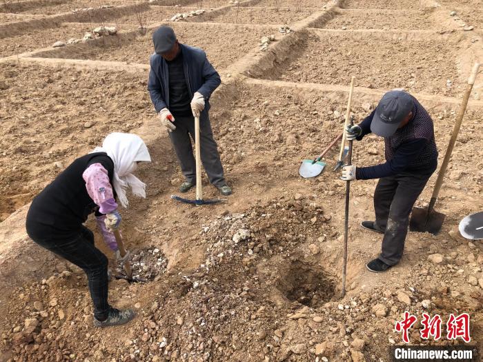 資料圖為建行青海省分行綠化區(qū)施工隊(duì)隊(duì)員處理亂石?！〗ㄐ星嗪Ｊ》中泄﹫D