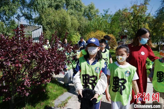 圖為小朋友在青海西寧湟水國家濕地公園內(nèi)認(rèn)識植物?！●R銘言 攝