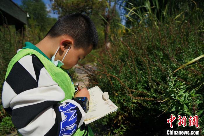 圖為小朋友在青海西寧湟水國家濕地公園內(nèi)認(rèn)識植物并進(jìn)行繪畫?！●R銘言 攝