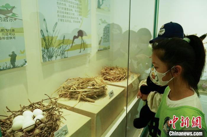 圖為小朋友在青海西寧湟水國家濕地公園科普館內(nèi)參觀學(xué)習(xí)?！●R銘言 攝