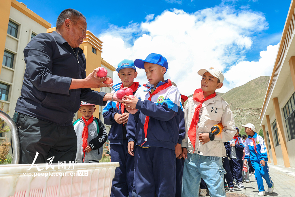 西藏瓊結(jié)：高海拔小學迎來開學季