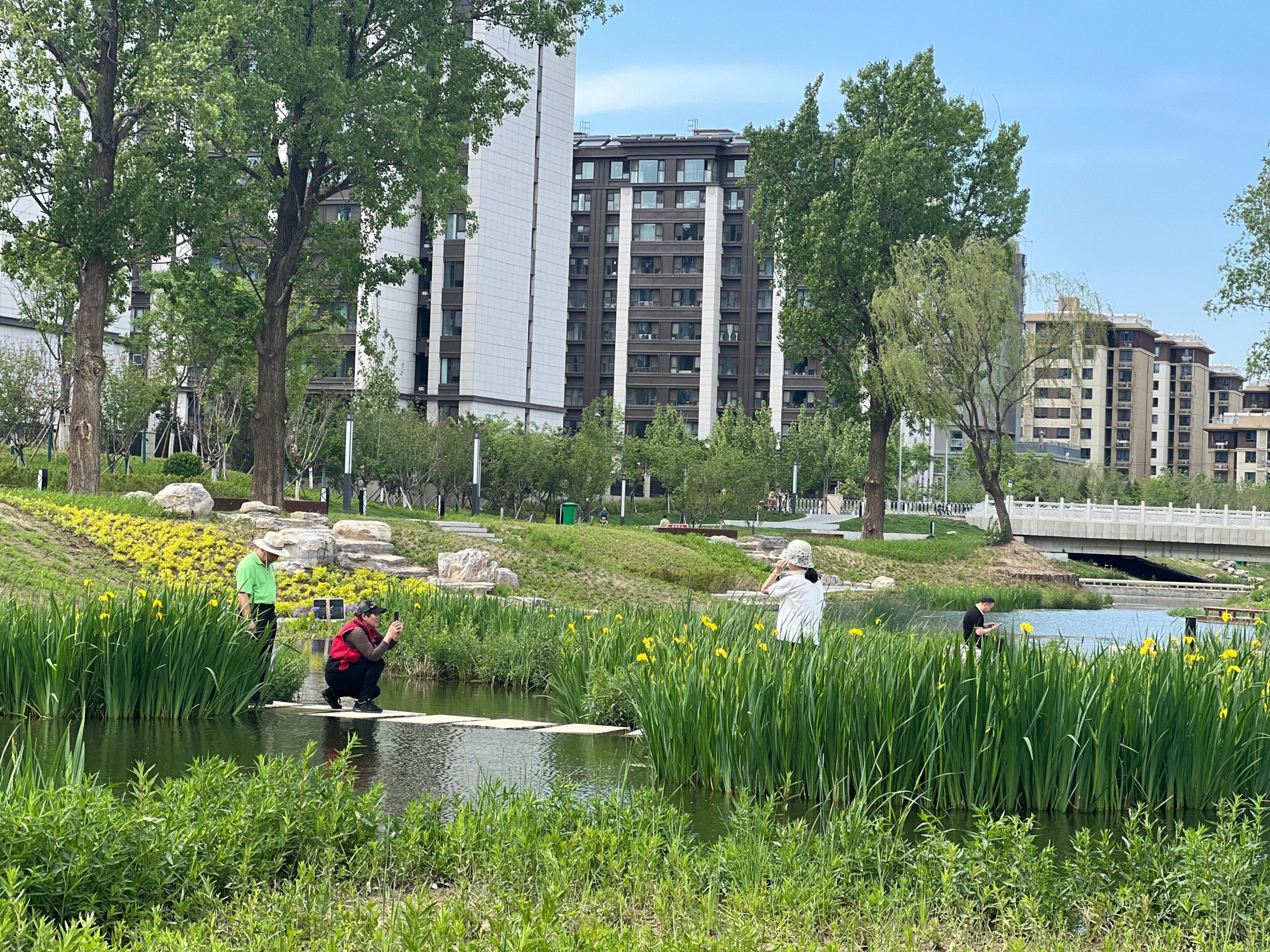 五一渠生態(tài)濱河公園內(nèi)，市民正在拍照留念。人民網(wǎng) 歐陽易佳攝