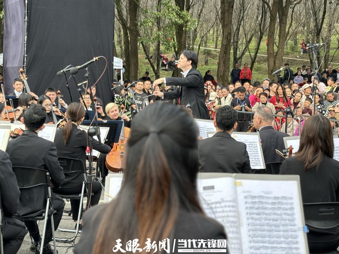 貴陽(yáng)路邊音樂(lè)會(huì)·貴安櫻花園專場(chǎng)交響樂(lè)現(xiàn)場(chǎng)。丁亞 文丹 攝