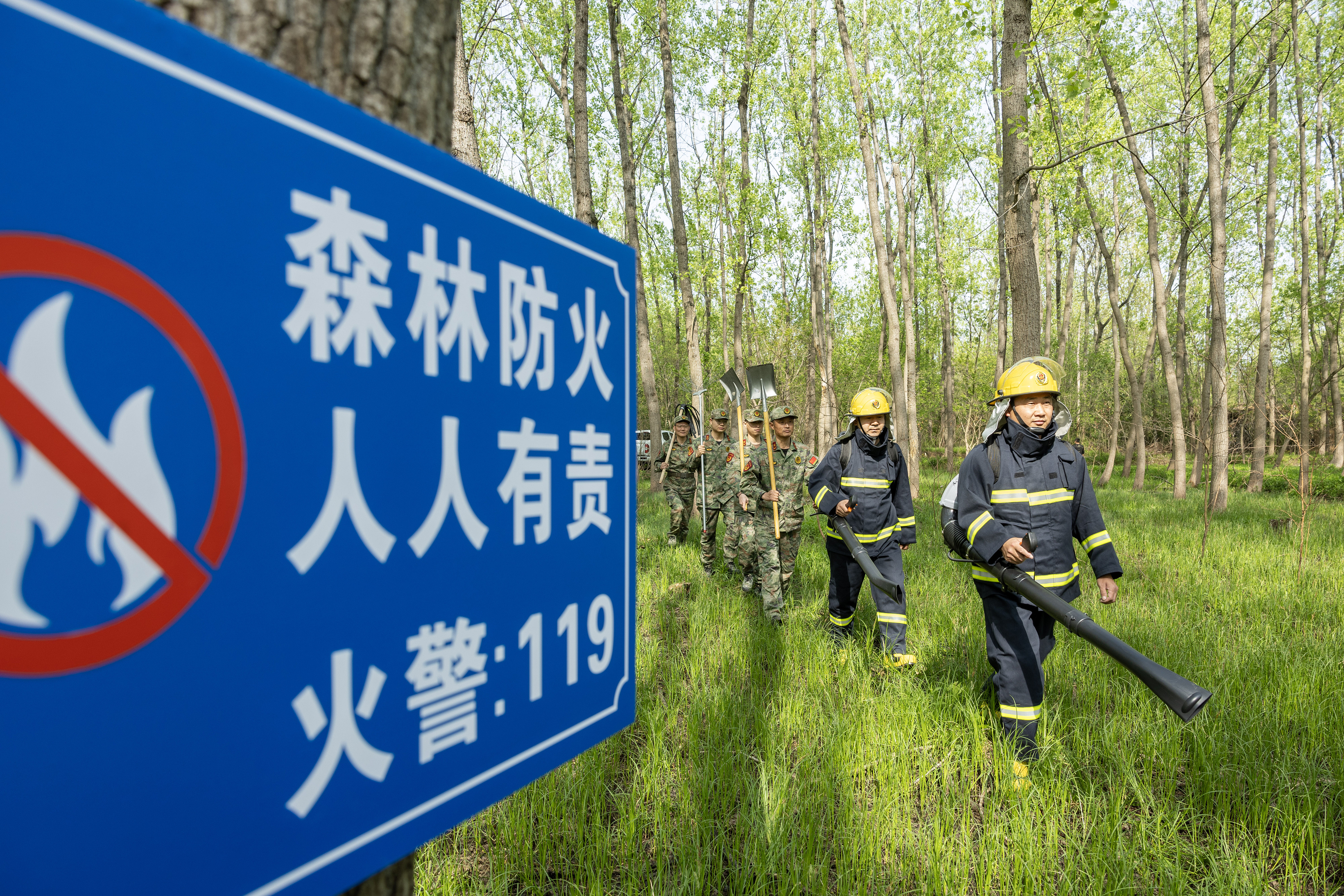 2024年4月9日，合肥市大房郢水庫水源保護(hù)地廬陽經(jīng)濟(jì)開發(fā)區(qū)段，基干民兵正在林間巡查火災(zāi)隱患。