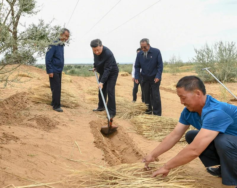 2019年8月21日，習近平來到甘肅省武威市古浪縣八步沙林場，實地察看當地治沙造林、生態(tài)保護等情況。新華社記者 謝環(huán)馳 攝