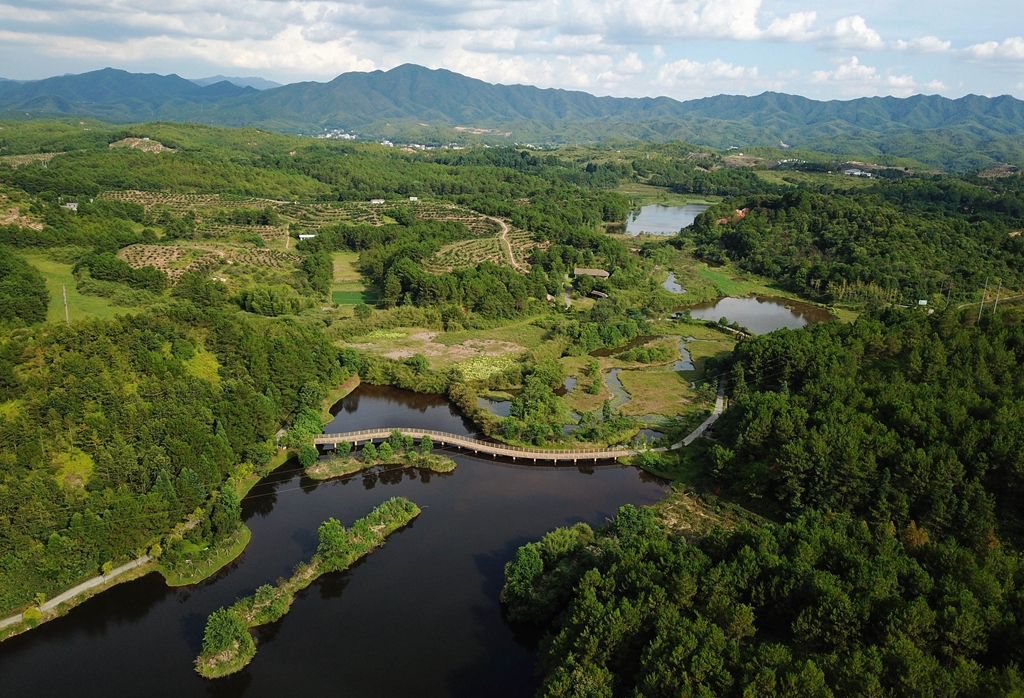 福建省龍巖市長汀縣的長汀汀江國家濕地公園景色（2020年7月28日攝，無人機照片）。新華社記者 魏培全 攝