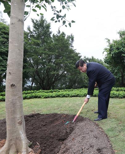 2012年12月7日至11日，習(xí)近平在廣東省考察工作。這是8日上午，習(xí)近平在深圳蓮花山公園種下一棵高山榕樹。新華社記者 蘭紅光 攝