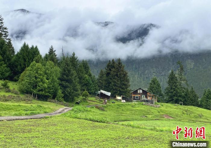 6月10日，魯朗小鎮(zhèn)高山牧場(chǎng)景區(qū)風(fēng)光。　冉文娟 攝