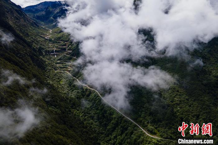 西藏山南勒布溝景區(qū)的盤山公路被云霧環(huán)繞?！〗w波 攝