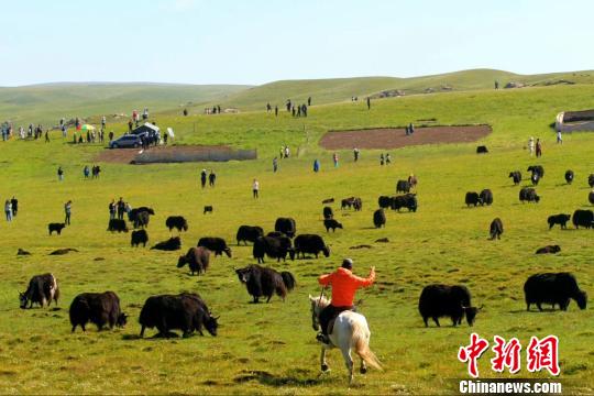 甘肅甘南藏區(qū)“綠色蝶變”原生態(tài)旅游引眾“打卡”