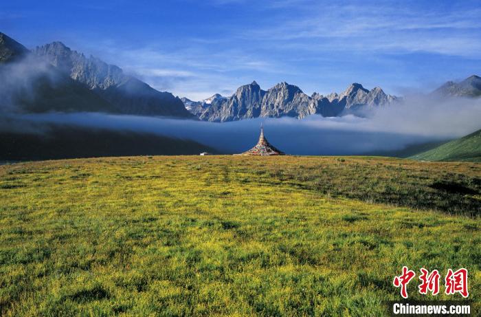 青海天然草地達數(shù)億畝政協(xié)委員建言設草原保護技術(shù)創(chuàng)新中心