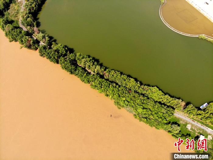 圖為2020年9月3日航拍黃河蘭州段濕地公園現(xiàn)黃河“鴛鴦鍋”。(資料圖) 高瑩 攝