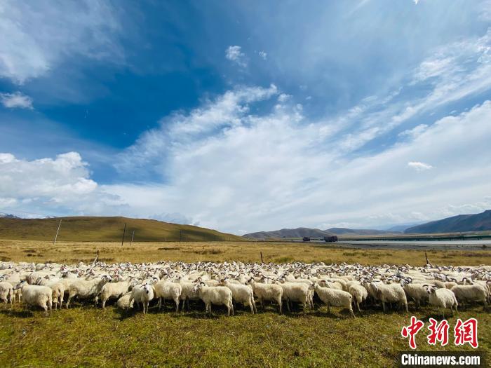 三江源國(guó)家公園：科技畜牧支撐生態(tài)保護(hù)和區(qū)域經(jīng)濟(jì)協(xié)調(diào)發(fā)展