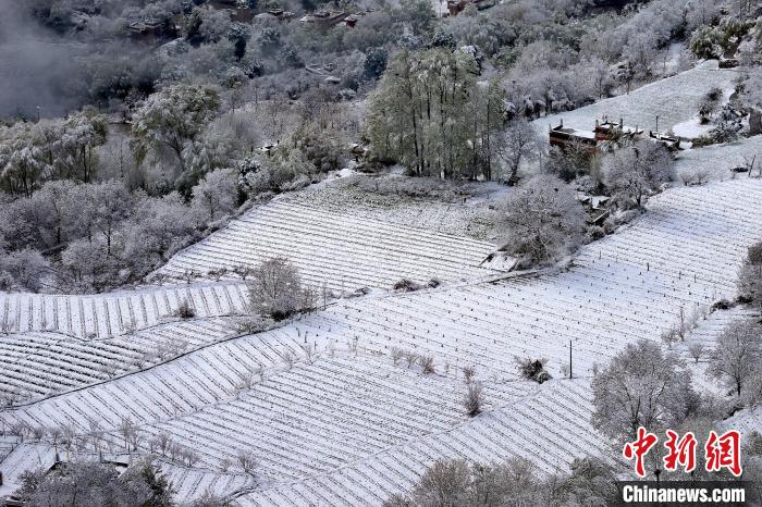 雪后的高山田間如畫?！±钣腊?攝