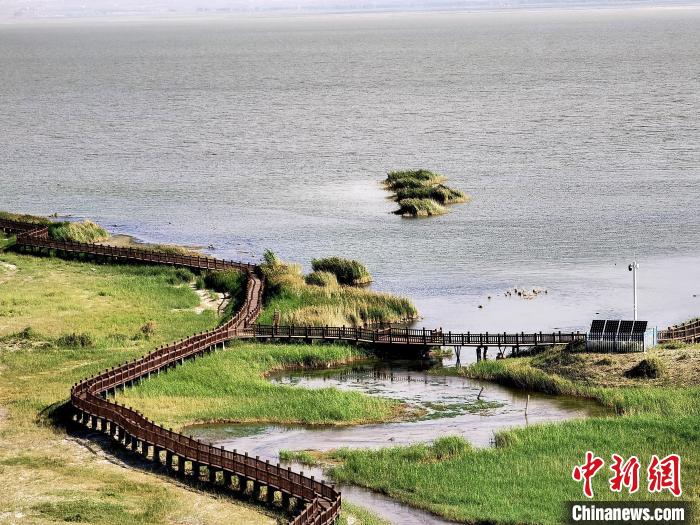 圖為都蘭湖國家濕地公園觀光棧道?！∑钤鲚?攝