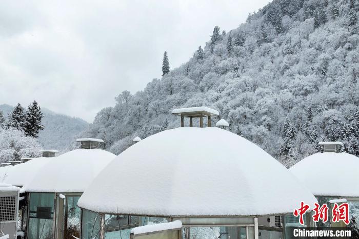 大熊貓國家公園王朗片區(qū)春雪如畫，宛若仙境?！×_春平 攝