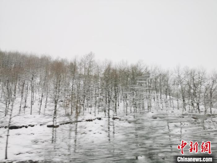 圖為青海青沙山區(qū)域被降雪覆蓋?！?zhí)砀?攝