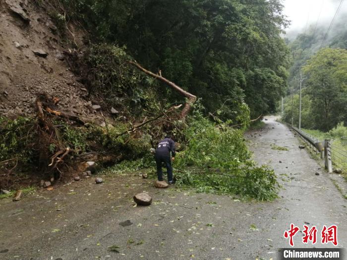 圖為7月21日，G318線川藏公路林芝巴宜區(qū)至波密縣路段發(fā)生落石。林芝市巴宜區(qū)公安局 供圖