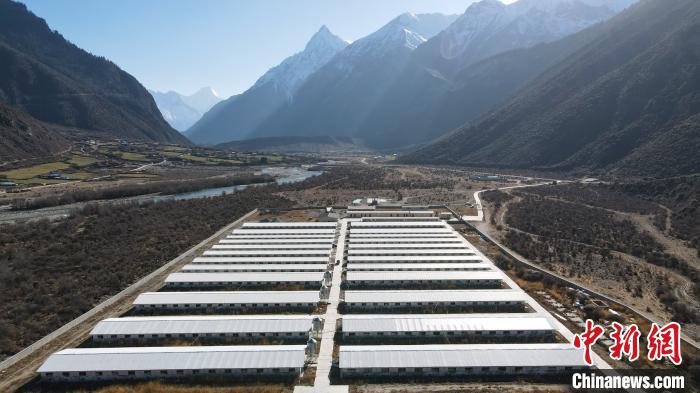 圖為西藏林芝市波密縣的標準化、產業(yè)化藏豬養(yǎng)殖基地?！〗w波 攝