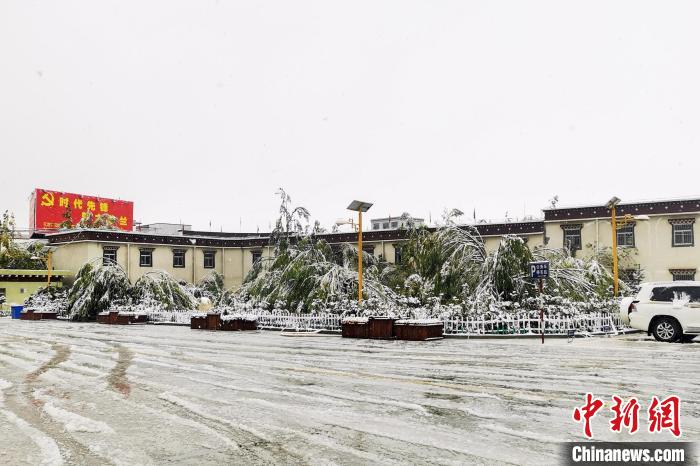 西藏多地迎來降雪天氣