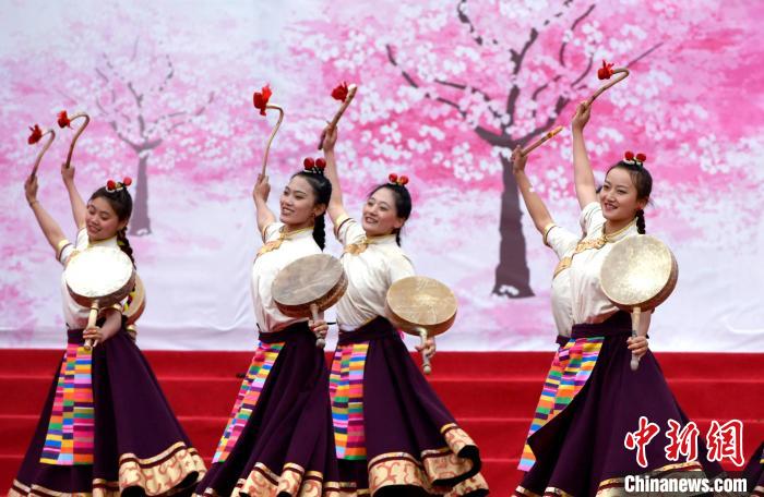 3月28日，西藏林芝第二十屆桃花旅游文化節(jié)開幕式上的文藝表演?！±盍?攝