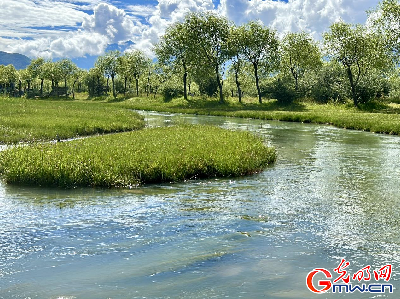 我們的家園丨【組圖】 綠水青山入畫，“金山銀山”筑起