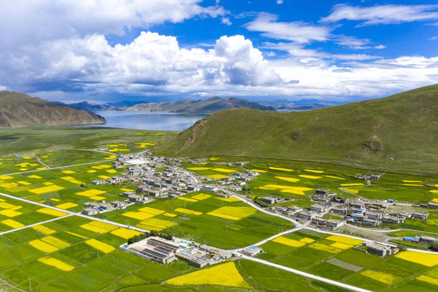 航拍道布龍村，依山傍水，阡陌縱橫。