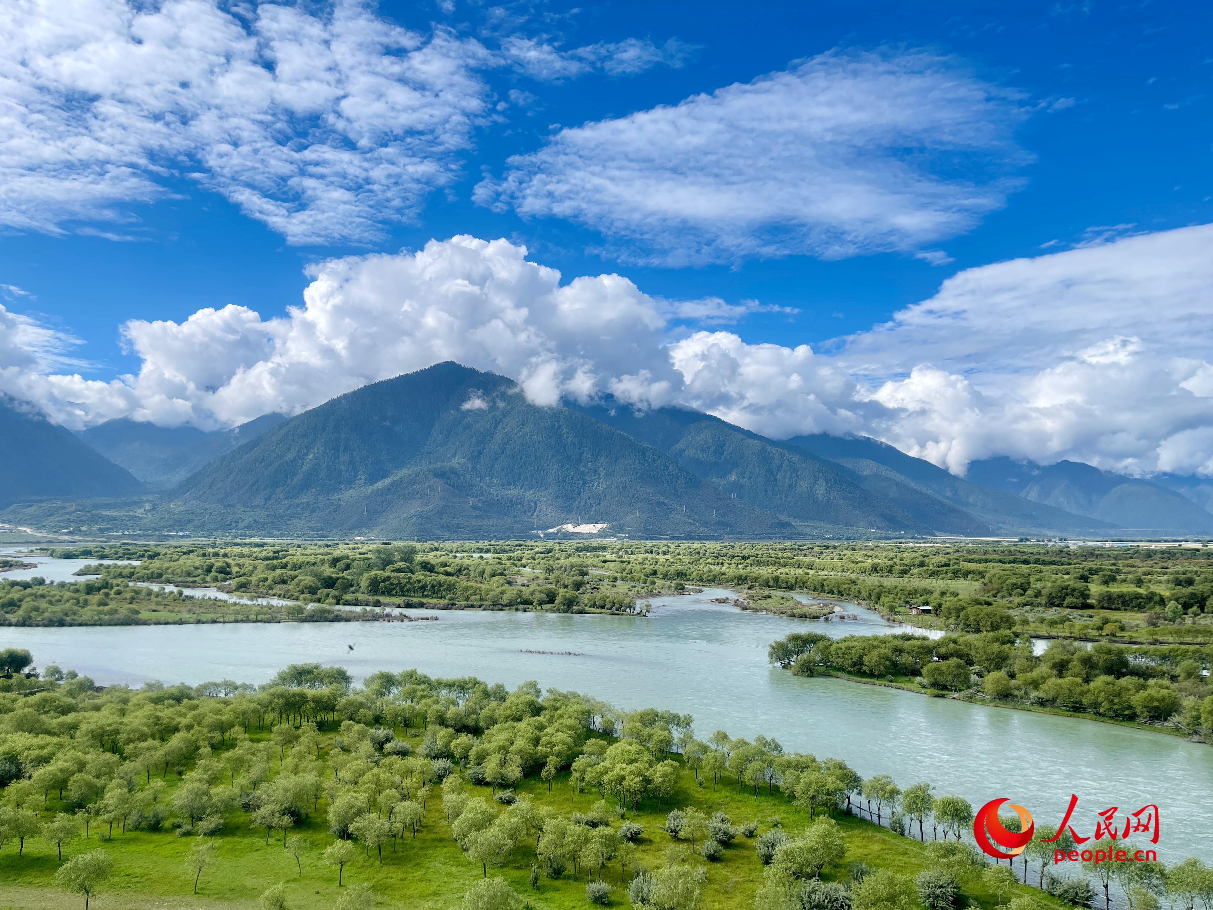 夏日的雅尼國家濕地公園生機(jī)盎然，如詩如畫。人民網(wǎng) 周靜圓攝