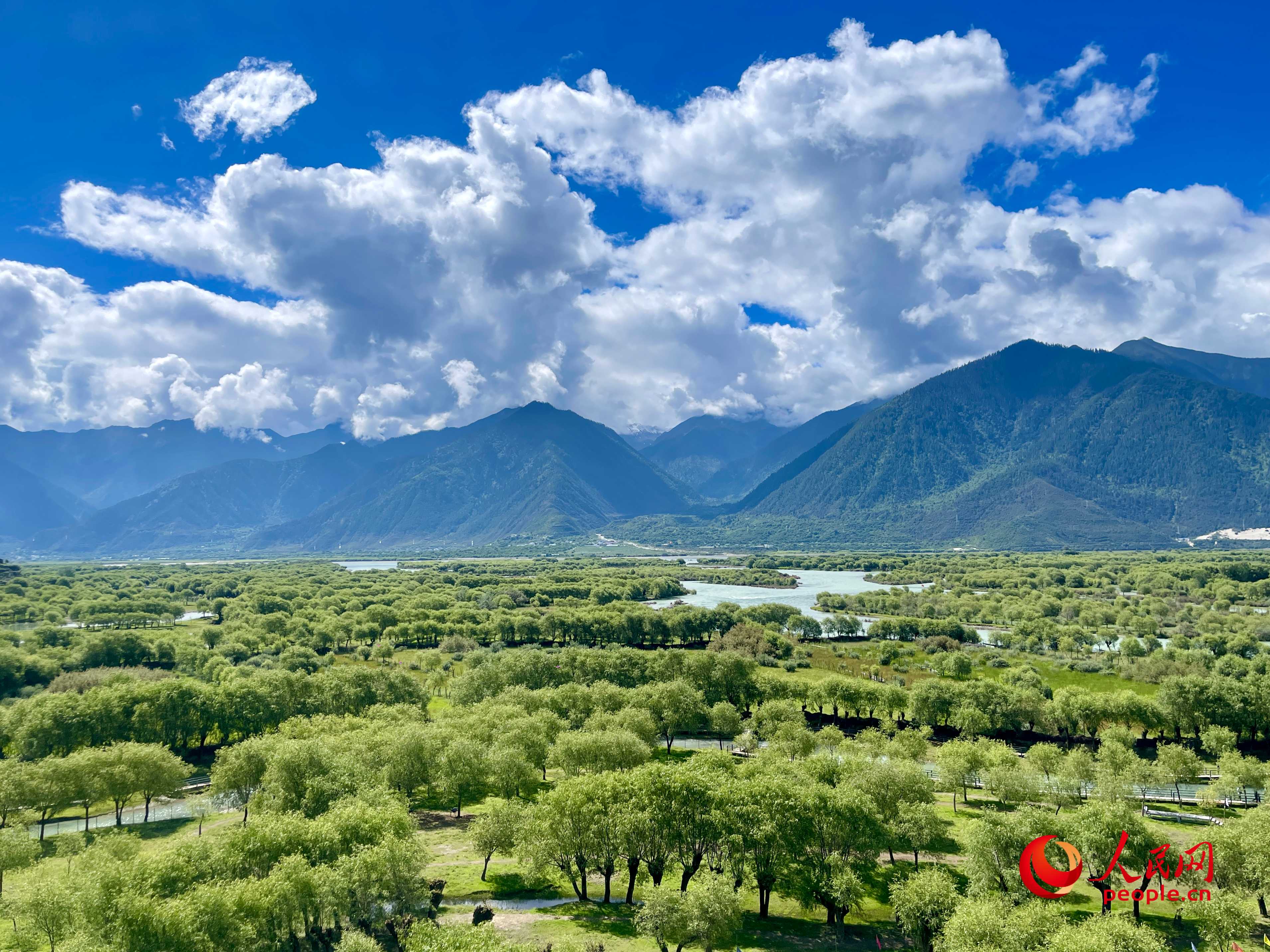 夏日的雅尼國家濕地公園生機(jī)盎然，如詩如畫。人民網(wǎng) 周靜圓攝