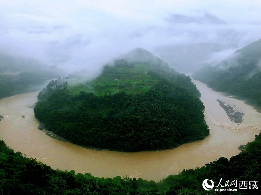 雅魯藏布江大峽谷蛇形拐彎處，山坡上種滿茶樹。