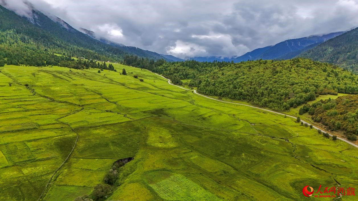 圖為航拍高山牧場鳥瞰圖。人民網(wǎng)記者 次仁羅布攝