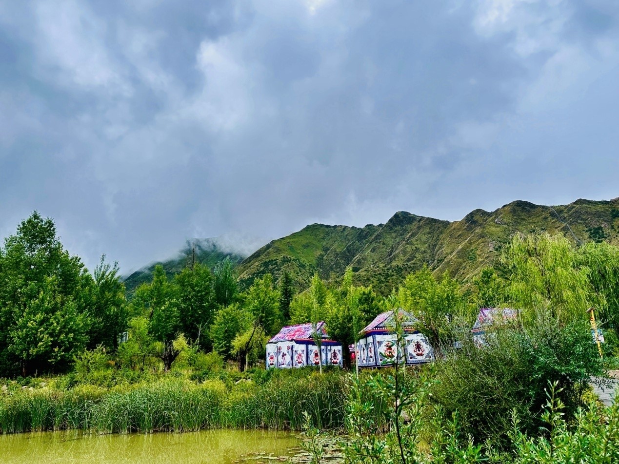 郁郁蔥蔥的南山公園。人民網(wǎng)記者 益西康珠攝